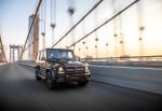 Mercedes-AMG G65 Final Edition 2018 года (NA)